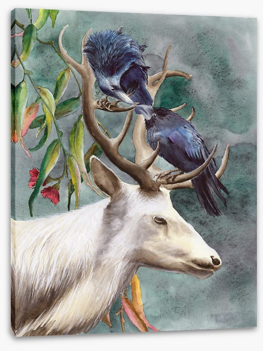 Animals