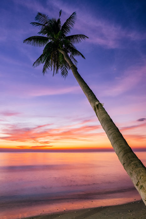 Sunsets