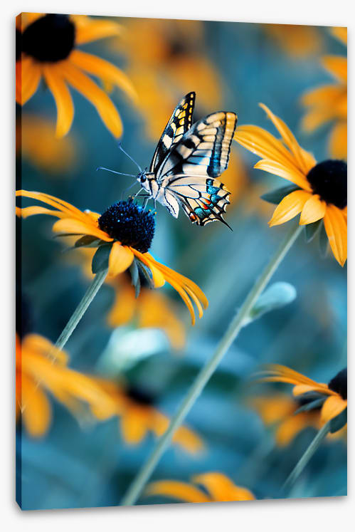 Flower to myself