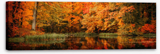 Lakeside fall panorama