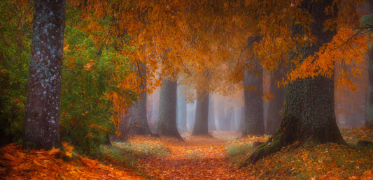 Into autumn