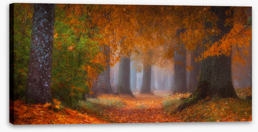 Into autumn