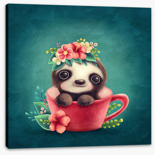 Tea cup sloth
