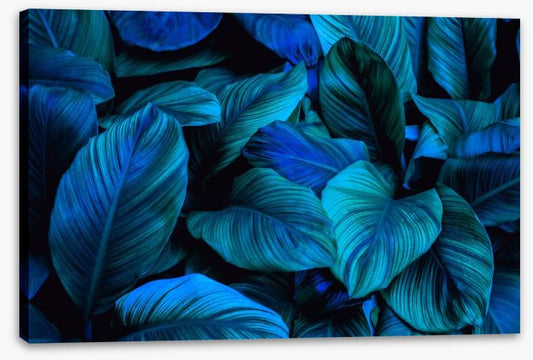 Leafy blues 2