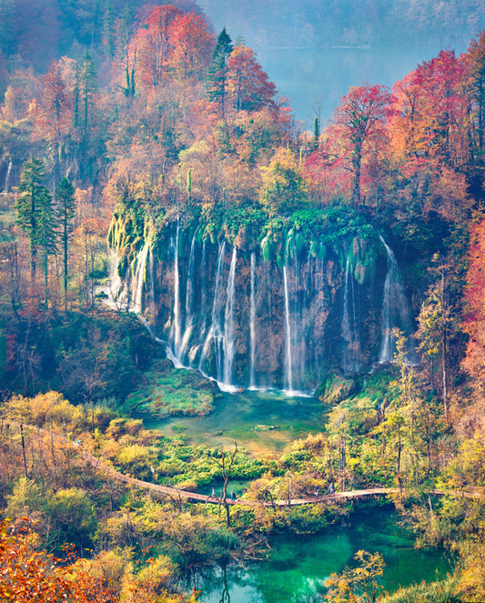 Across autumn