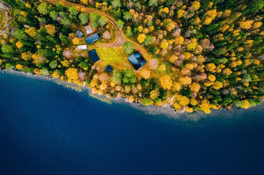 Beside the lake