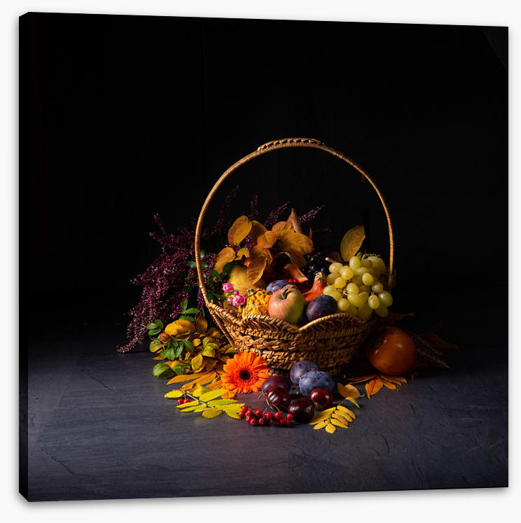 Still Life