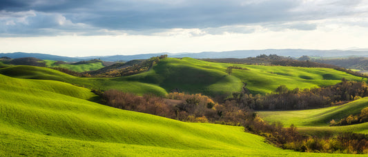 In the far field