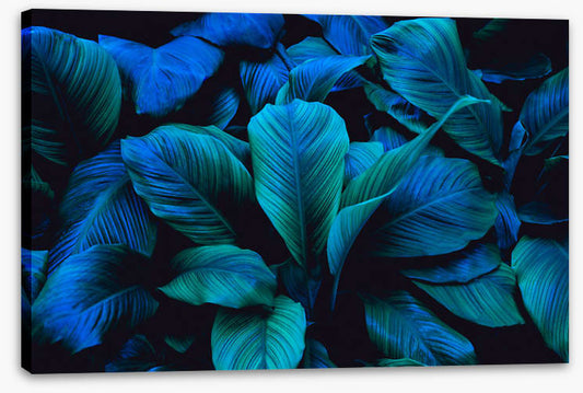 Leafy blues 1