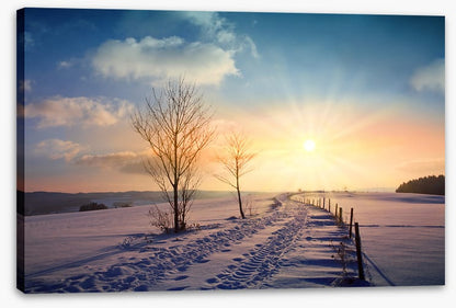 A winters day