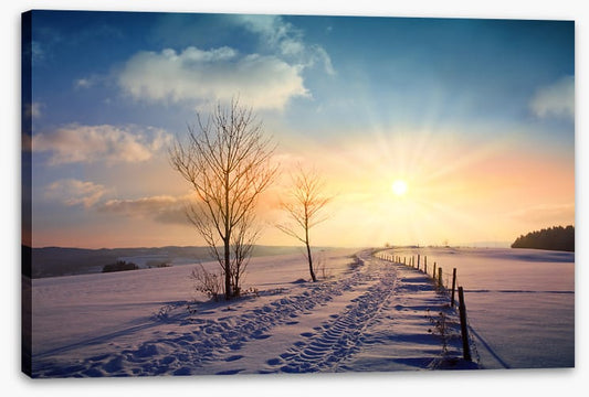 A winters day