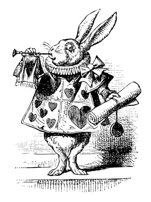 The White Rabbit