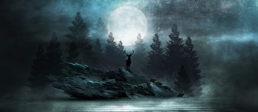 Below the moon glow