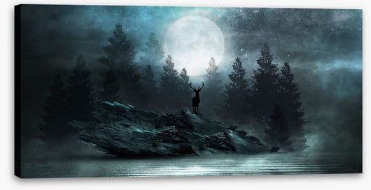 Below the moon glow