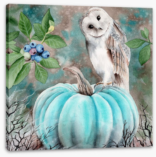 The pumpkin owl