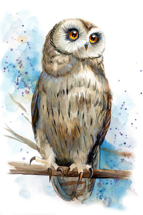 Owl be watching