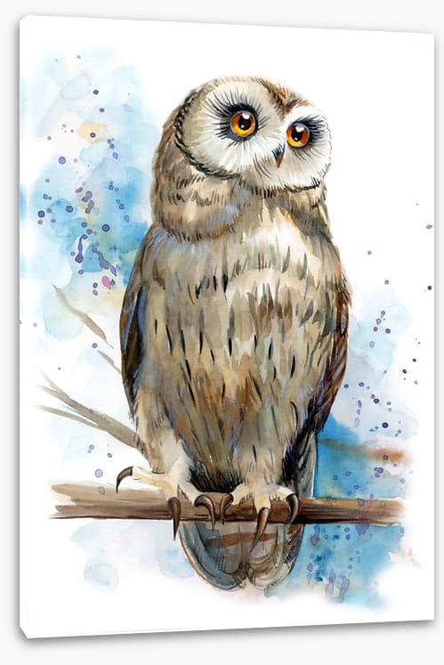 Owl be watching