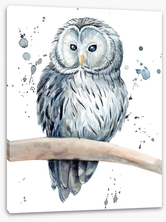 Snowy owl splash