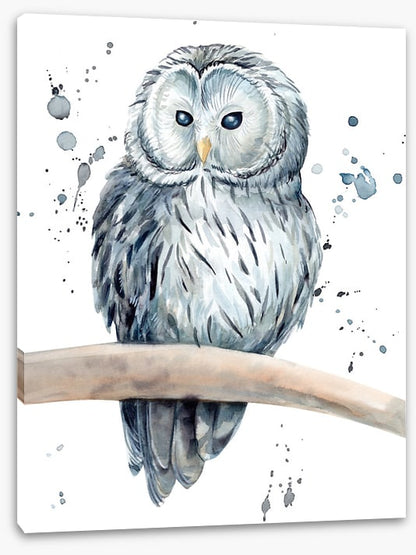 Snowy owl splash