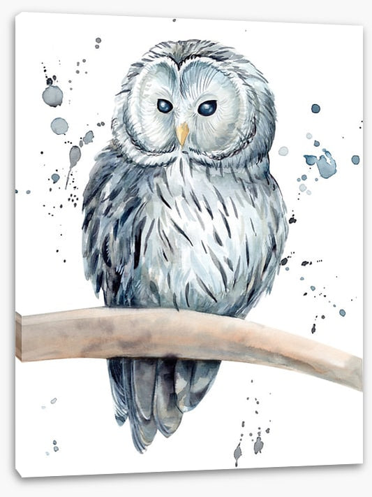 Snowy owl splash
