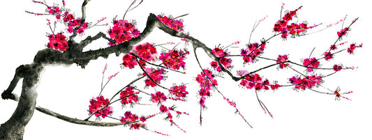 Plum mei panoramic