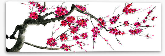Plum mei panoramic