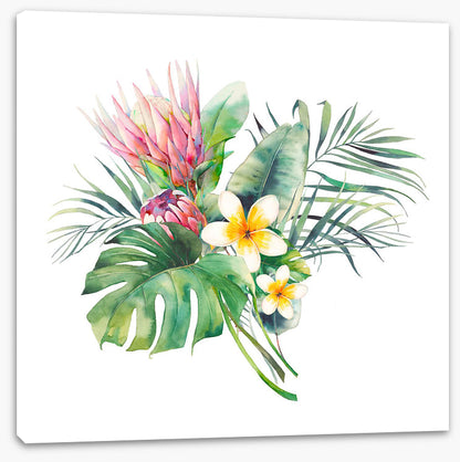 Protea in the palms II