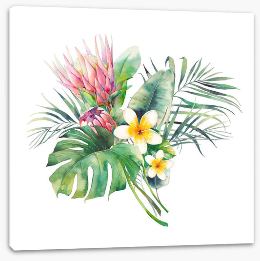 Protea in the palms II
