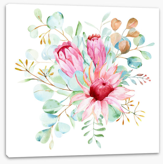 Protea petals II