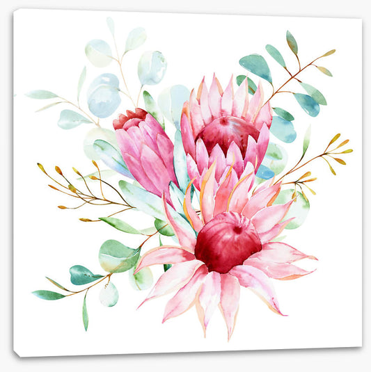 Protea petals I