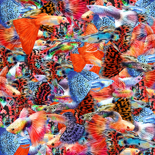 Plenty more fish II