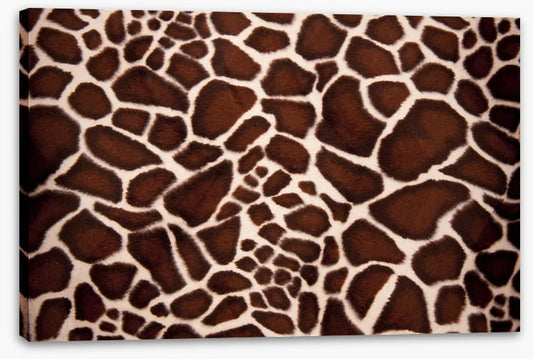 Animal Print