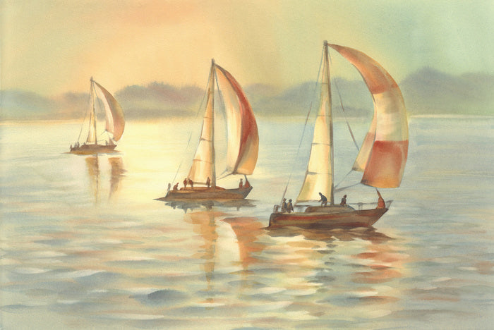 Golden evening yachts
