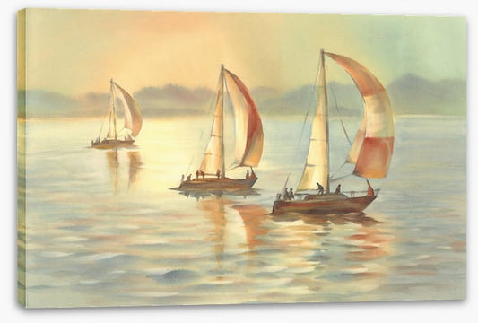 Golden evening yachts