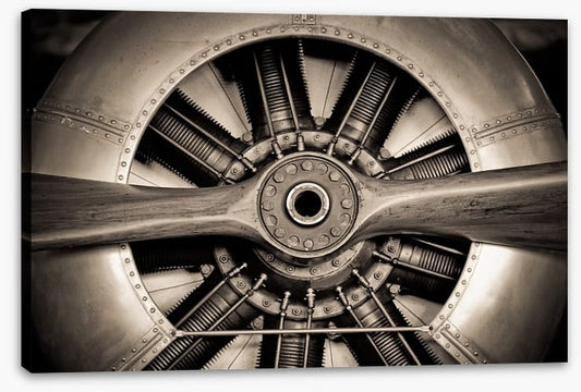 Antique aviation