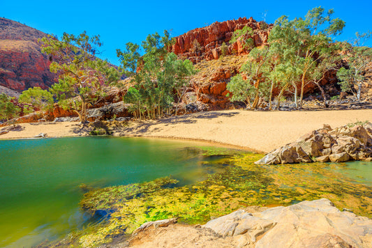 Gums in the gorge