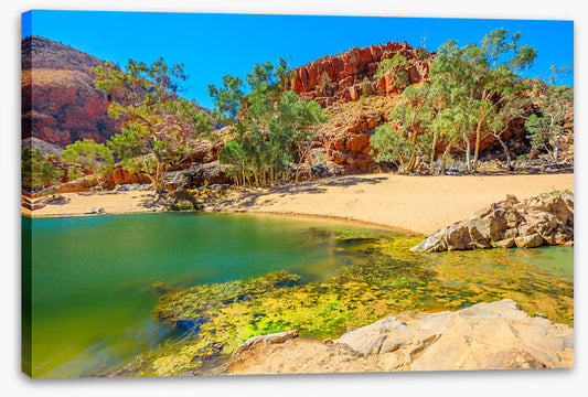 Gums in the gorge
