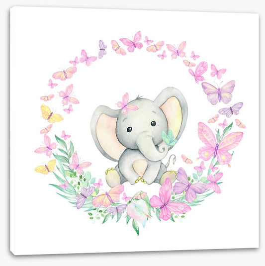 Baby elephant butterflies 1