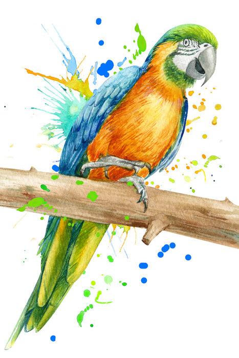 Pretty polly perch