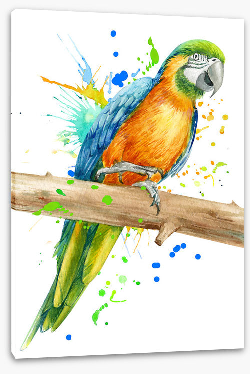 Pretty polly perch