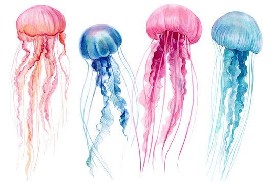 The floating four