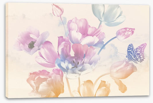 Butterfly blush