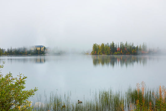 Misty lake morning