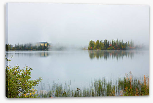 Misty lake morning