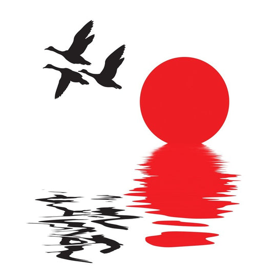 Flying ducks