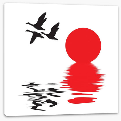 Flying ducks