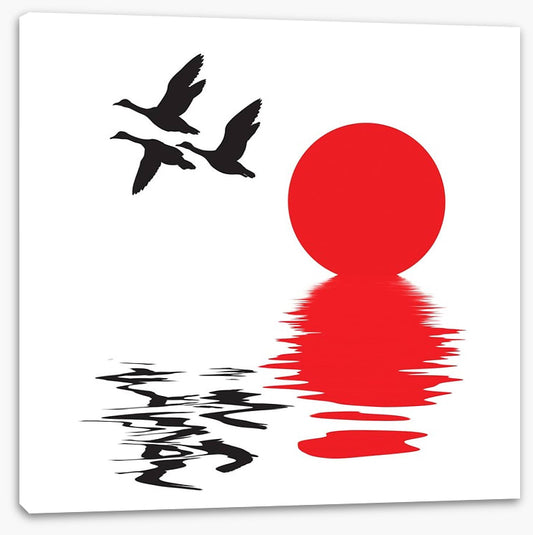 Flying ducks