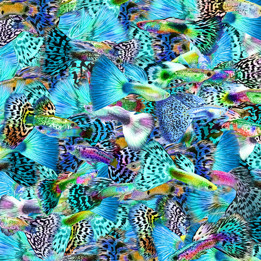 Plenty more fish I