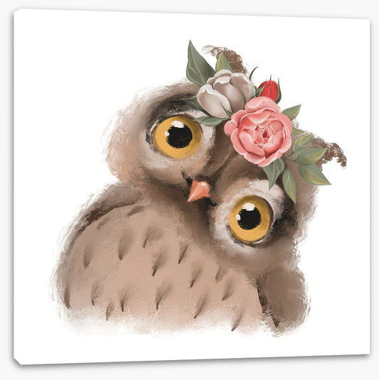 Little floral owl