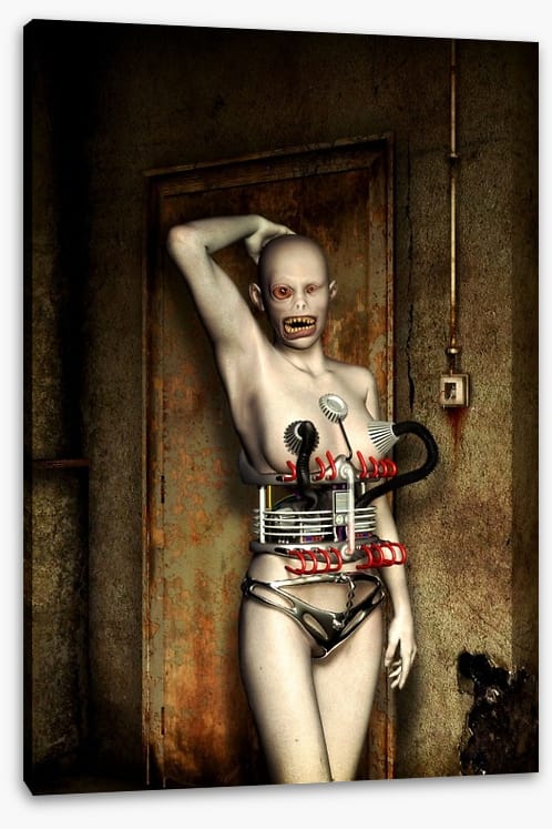 Robo Roberta
